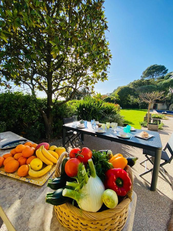 Luxury In With Swimming Pool & Sea View Villa Cannes